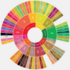 The Enchanting World of Specialty Coffees: Exploring the Flavor Wheel!