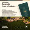 Café de Especialidad Espiritualmente - Tostado En Grano Entero - Arábica