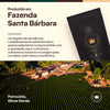 Kit 4 Unidades Café Especial Daily - Moído