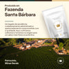 Kit 4 Unidades Café Especial Peacefully - Grãos